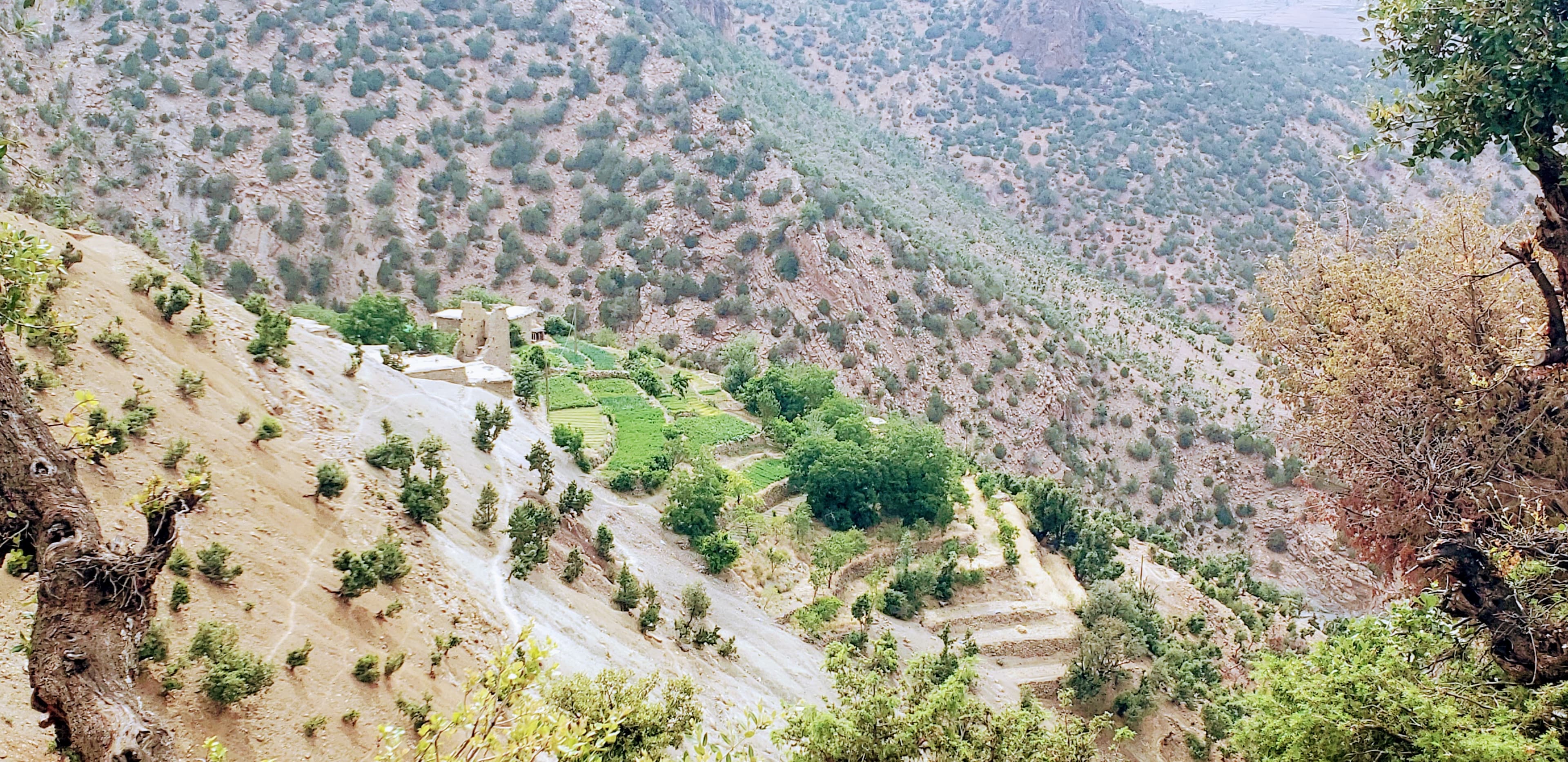 Vallée aux terrasses verdoyantes