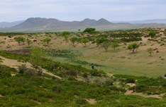 Jour 8 — Étape 4 — Champ de dunes de Mongol Els — photo 10