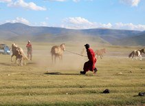 Jour 8 — Étape 4 — Champ de dunes de Mongol Els — photo 15