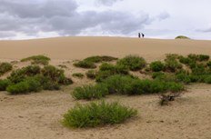 Jour 8 — Étape 4 — Champ de dunes de Mongol Els — photo 4